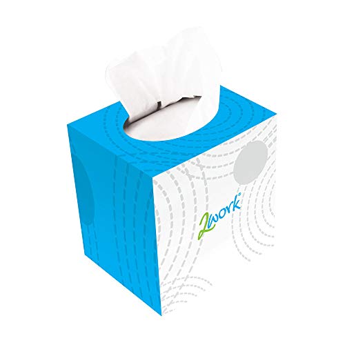 2Work Facial Tissue Cube Box 70 Sheets 2-Ply (Pack of 24) CPD13550