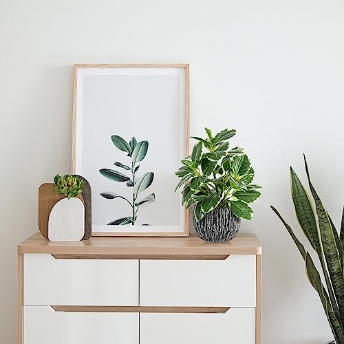 Artificial Plants Indoor Outdoor, Faux Variegated Oak Leaf Plant, Fake Potted Plants Artificial Decor for Coffee Table Desk Shelf, Faux Plants Indoor for Living Room Bathroom Bedroom Entryway Office - Image 4