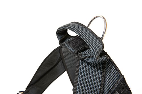 Julius-K9 Idc Color & Gray Belt Harness For Dogs, Size 3, Black-Gray #TOP3