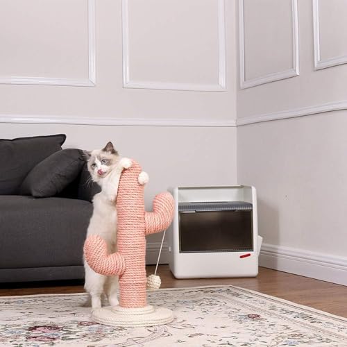 Lbg^[ L^[ Lp ܂Ƃ T{e^  芪  ߂Ƃ L̖  ^s 萫 gȒP qL^L Vя Lp܂Ƃ 芪 T{e^L^[ CeA gȒPLƋ (sN,58cm)