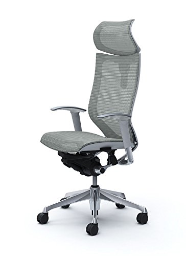 オカムラ オフィスチェア バロン 可動ヘッドレスト 可動肘 座メッシュ ライトグレー CP81AW-FDH3