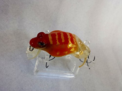 Amazon.co.jp: Megabass/メガバス Type-X/タイプX OGF/Orange back