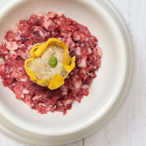 ˎRnEhJ  Ⓚ hbOt[h y ჊ tPA z ჊ŐtɗD20iABCZbg ei×21 Y  育 Ö@H gbsO EFbgt[h H HׂȂY