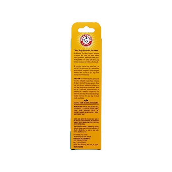 Arm & Hammer Dog Dental Care Fresh Breath Enzymatic Toothpaste for Dogs | No More Doggie Breath | Safe for Puppies, Clinical Care, Vanilla Ginger Flavor – 1 Pack Arm & Hammer Dog Dental Care Fresh Breath Enzymatic Toothpaste for Dogs | No More Doggie Breath | Safe for Puppies, Clinical Care, Vanilla Ginger Flavor – 1 Pack