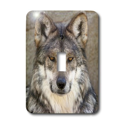 Interrupteur loup de Brenda Tharp 3dRose lsp_83695_1 unique - 4