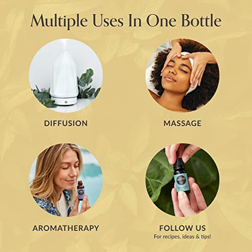 Edens Garden Bee Happy "Ok For Kids" Essential Oil Synergy Blend, 100% Pure Therapeutic Grade (Undiluted Natural/ Homeopathic Aromatherapy Scented Essential Oil Blends) 10 Ml #TOP3