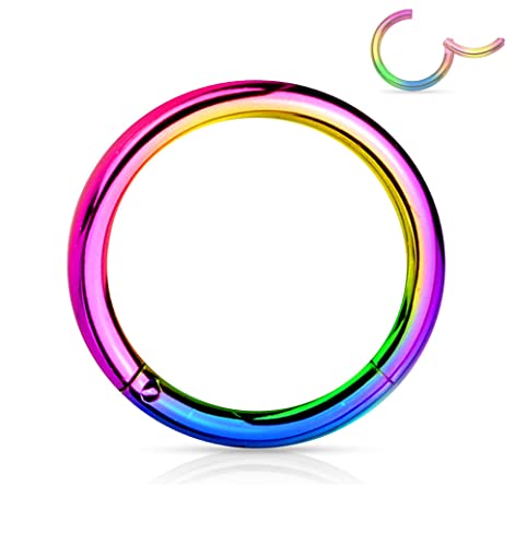 Forbidden Body Jewelry 316L Surgical Steel Hinged Seamless Nose Rings Hoop 14G 16G 18G, Diameter 6mm 8mm 10mm 12mm, Gold/Rose Gold/Silver/Black/Rainbow Colors.