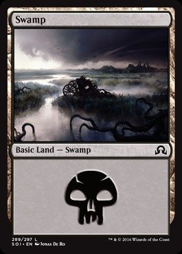 MTG foil 英語版 沼 Swamp Avon 0003 SLP ② Swamp__88581.1653326226.386.
