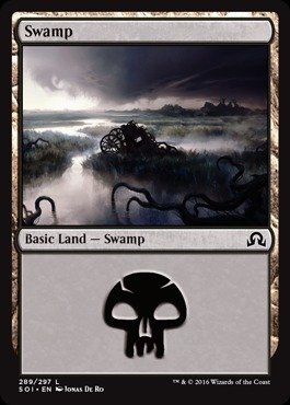 Magic The Gathering - Swamp (289) - Shadows Over Innistrad