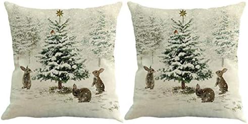 HEALLILY 2 federe copricuscino natalizie decorative per divano, divano, letto e auto HEALLILY 2 federe copricuscino natalizie decorative per divano, divano, letto e auto