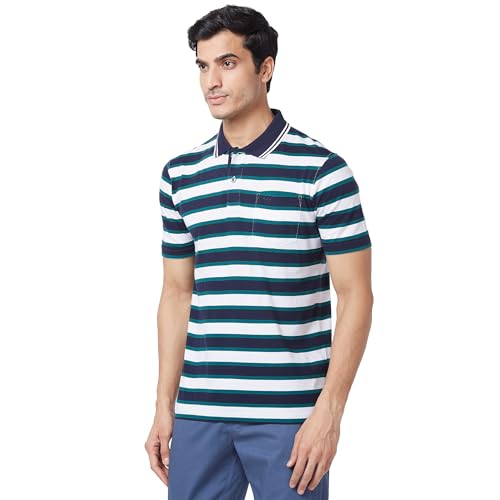 Image of Colorplus Men's Pure Cotton Stripe Pattern Classic Fit Polo Neck Half Sleeve Casual T-Shirt