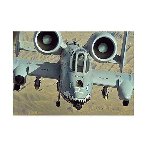 Wee Blue Coo War Military Plane Fighter Jet A-10 Thunderbolt II Wall Art Print