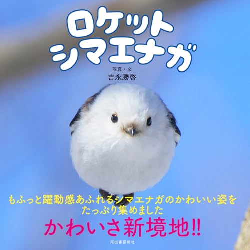 ロケットシマエナガ