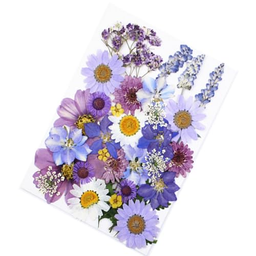 Flores secas prensadas para manualidades DIY resina 33 piezas miniatura 2
