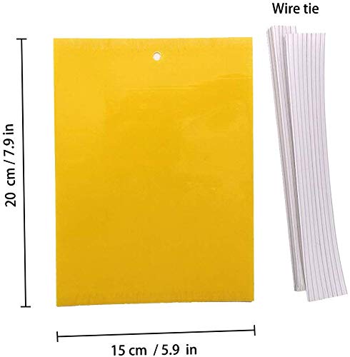Gelbtafeln Panngu 50 Stück zur Bekämpfung von Trauermücken 20 cm x 15 cm