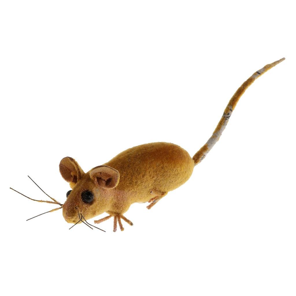 CALANDIS™ Highly Simulated Clay Insects Random Color Animals Model Toys Rat | Statues & Lawn Ornaments | Garden D?©cor | Yard, Garden & Outdoor Living-image-30
