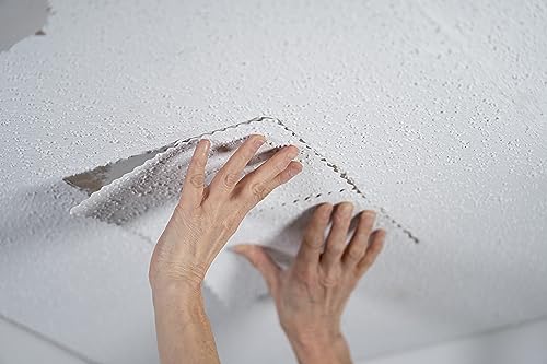 Hyde 09954 Popcorn Ceiling Patch Repair Kit, White, 2 9x6-inch Patches, 2 4-inch Round Patches, 2 Ounces of Joint Compound Drywall Mud, 2 Cotton Swabs