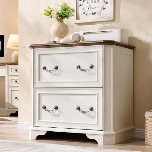 T4TREAM 2 Drawer File Cabinet-30 Wide Wooden Extended Desktop, Farmhouse Filing Cabinet with Smooth...