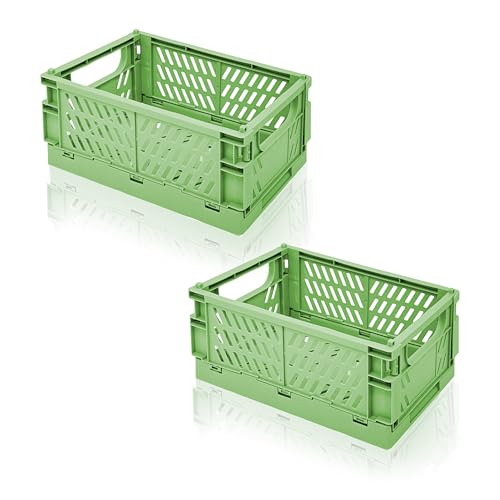 Daixers 2 Pack Mini Foldable Small Plastic Baskets for Organizing and Storage，Collapsible Storage Crates,Mini Bins for Home Kitchen Bedroom Bathroom Office (Green, Large 10x6.5x4)