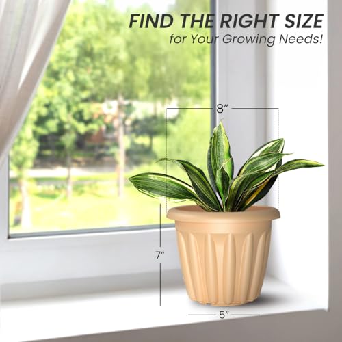 Image of YUCCABE ITALIA SHERA Floot Plastic Flower Pot Round Planter Suitable for Indoor Outdoor Kitchen Garden (Beige, 8 INCH - 12 Pcs)