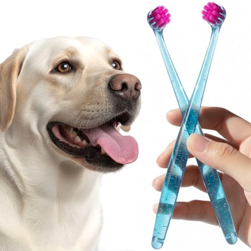 Brosses à dents pour chiens brosse de nettoyage dentaire gencives