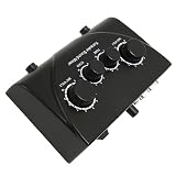 Amplificatore Microfono con 2 Ingressi Microfono, Controllo Rotazione Fluido per Registrazione Doppio Microfono, Controllo Volume Musica, tonalità e Riverbero (Spina europea)
