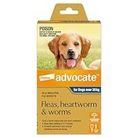 Advocate Dog, Monthly Spot-On Protection from Fleas, Heartworm and Worms, Single Pack Flea Treatment for XL Dogs Over 25 kg, 1 Pack