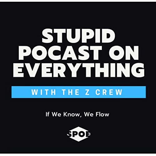 Stupid Podcast on Everything cover art