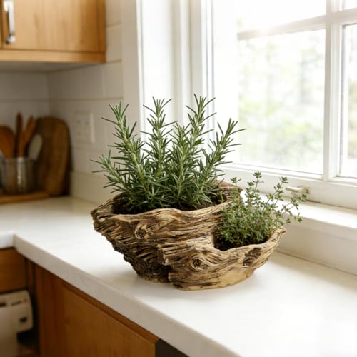 Noamus Artificial Driftwood Planter, Sculpture Resin Succulent Flower Pot, Imitation Wood Pile Porous Bonsai Tree Plant Pot, Decorative Rustic Stump Cactus Container for Garden Indoor by Noamus - Used condition - Image 7
