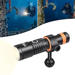 5500K Warm White Light