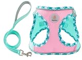 Hipubby Dog Harness Small Sized and Leash Set, No Pull Soft Mesh Puppy Vest, Reflective Breathable Lightweight Pet Harness, Harness for Small Medium Dogs and Cats - Pink Green, XXS