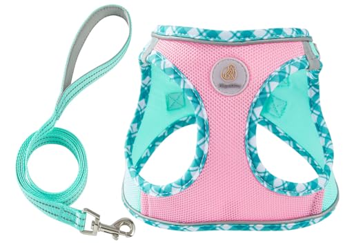 Hipubby 犬用ハーネス 小型とリーシュセット、引っ張り防止ソフトメッシュ子犬ベスト、反射通気性軽量ペットハーネス、小型、中型犬、猫用ハーネス(ピンクグリーン、XS)の商品画像（Amazon）