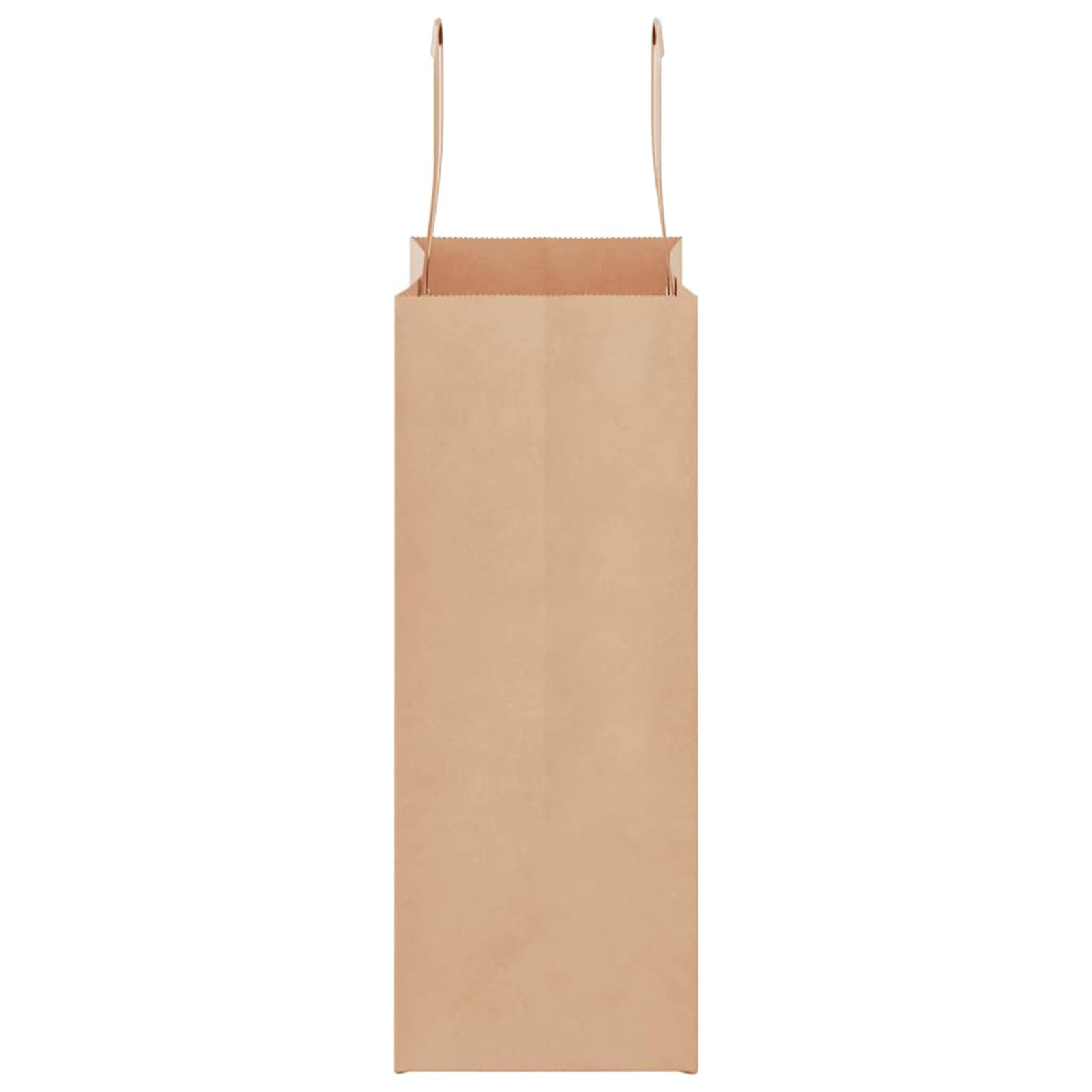 Fecpoo Papierowe torby transportowe 250 sztuk – brązowe, 21 x 11 x 28 cm, z papieru typu kraft nadającego się do recyklingu (80 g/m²), ze stabilnymi papierowymi uchwytami linowymi, idealne do