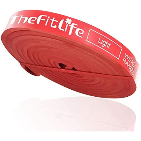 TheFitLife Resistance Pull Up Bands - Pull-Up Assist Exercise Bands, Long Workout Loop Bands for Body Stretching, Powerlifting, Fitness Training, with Carrying Bag and Workout Guide (Red) Cover
