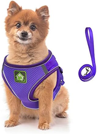FEimaX Dog Harness and Leash Set for Small Medium Dog Cat No Pull Adjustable Soft Mesh Chihuahua Chest Harness Puppy Reflective Step-in Safety Vest for Outdoor Walking