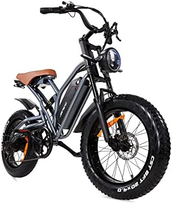 JANSNO Electric Bike 20" x 4.0 Electric Bike for Adults with 750W Brushless Motor, 48V 12.8Ah Removable Battery, Shimano 7-Speed Transmission UL Certified