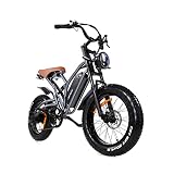 JANSNO Electric Bike 20" x 4.0 Electric Bike for Adults with 750W Brushless Motor, 48V 12.8Ah Remova
