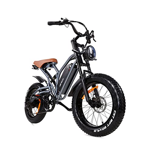 Jansno Electric Bike 20" X 4.0 Electric Bike For Adults With 750W Brushless Motor, 48V 12.8Ah Removable Battery, Shimano 7-Speed Transmission Ul Certified #TOP2