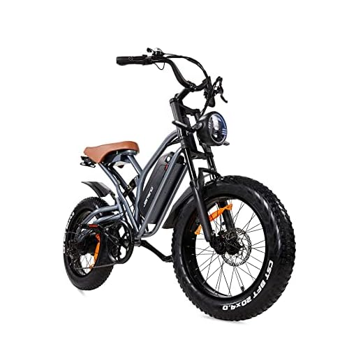 JANSNO Electric Bike 20" x 4.0 Electric Bike for Adults with 750W Brushless Motor, 48V 12.8Ah Removable Battery, Shimano 7-Speed Transmission UL Certified