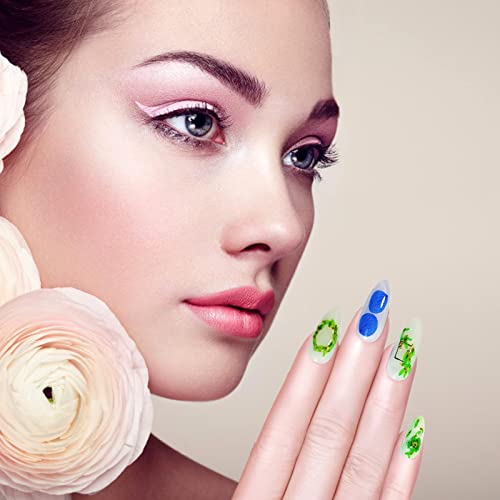 Flores secas para unhas - 3D Caixa de Flores Secas, Multicoloridas, Suprimentos de Decoração de Desi