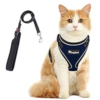 Amazon | 猫 猫用 ハーネス 胴輪 猫具 ねこ ネコ 子猫 子犬 小型