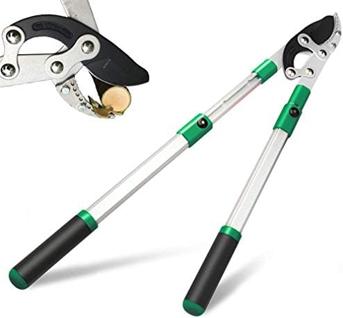 glorousamc SK5 High-Performance Compound Action Anvil Lopper,Chops Thick Branches with Ease,2 Inch Cutting Capacity,28inch-40inch Telescoping Lopper, Tree Trimmer with Sturdy&Comfortable handle(A）