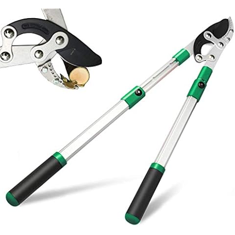 TUOSEN SK5 High-Performance Compound Action Anvil Lopper,Chops Thick Branches with Ease,2 Inch Cutting Capacity,28inch-40inch Telescoping Lopper, Tree Trimmer with Sturdy&Comfortable Handle Cover