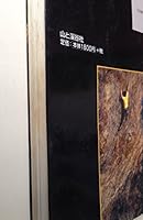 Performance Rock Climbing 4635168077 Book Cover