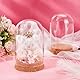 PH PandaHall 4 Stück Cloche Glaskuppel Klarglas Displaykuppel Mit Korkboden Dekorative Gläser Für Sammlerstücke Figuren Blumenaufbewahrung Partybevorzugung Dekoration 8x12.9cm