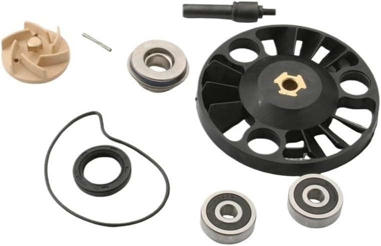 Motorcycle Water Pump Repair Kit for Eu3 125 Vx 125cc 100110230