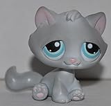 Kitten #177 (Grey, Blue Eyes, White Paint on Ears, Paws, and Tail) - Littlest Pet Shop (Retired) Collector Toy - LPS Collectible Replacement Single Figure - Loose (OOP Out of Package & Print)
