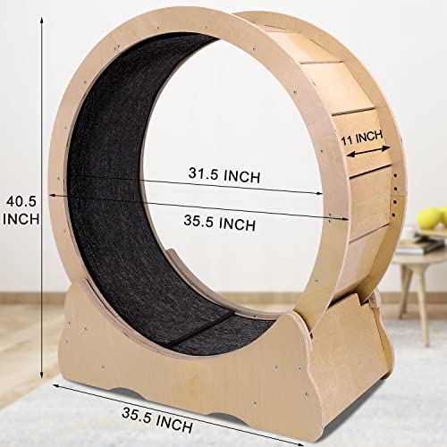 Ripprovt Cat Exercise Wheel, Cat Wheel Exerciser For Indoor Cats, Cat Treadmill Wheel With Lock Pin, Tpe Noiseless Roller, Cat Running Wheel For Cat Daily Fitness #TOP6