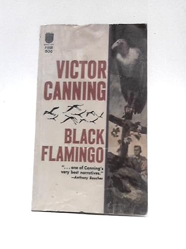 Black Flamingo B000MXB0W2 Book Cover