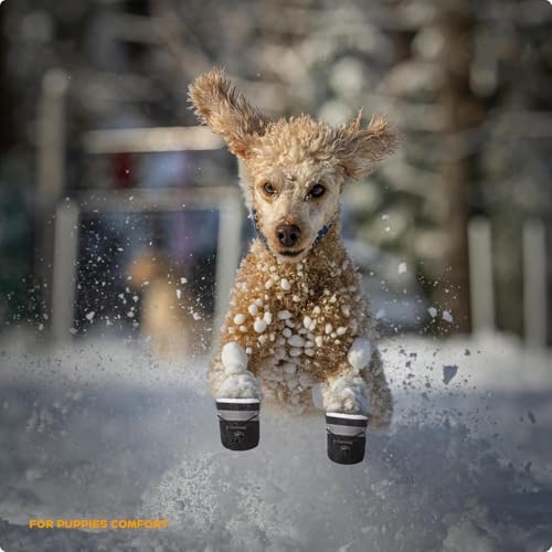 4PCS Hundeschuhe,Hundeschuhe Pfotenschutz,Schneestiefel für Hunde,Geeignet für Kleine und Mittelgroße Hunde, rutschfest und Warm Im Winter, Geeignet für Outdoor-Aktivitäten (Schwarz 5)